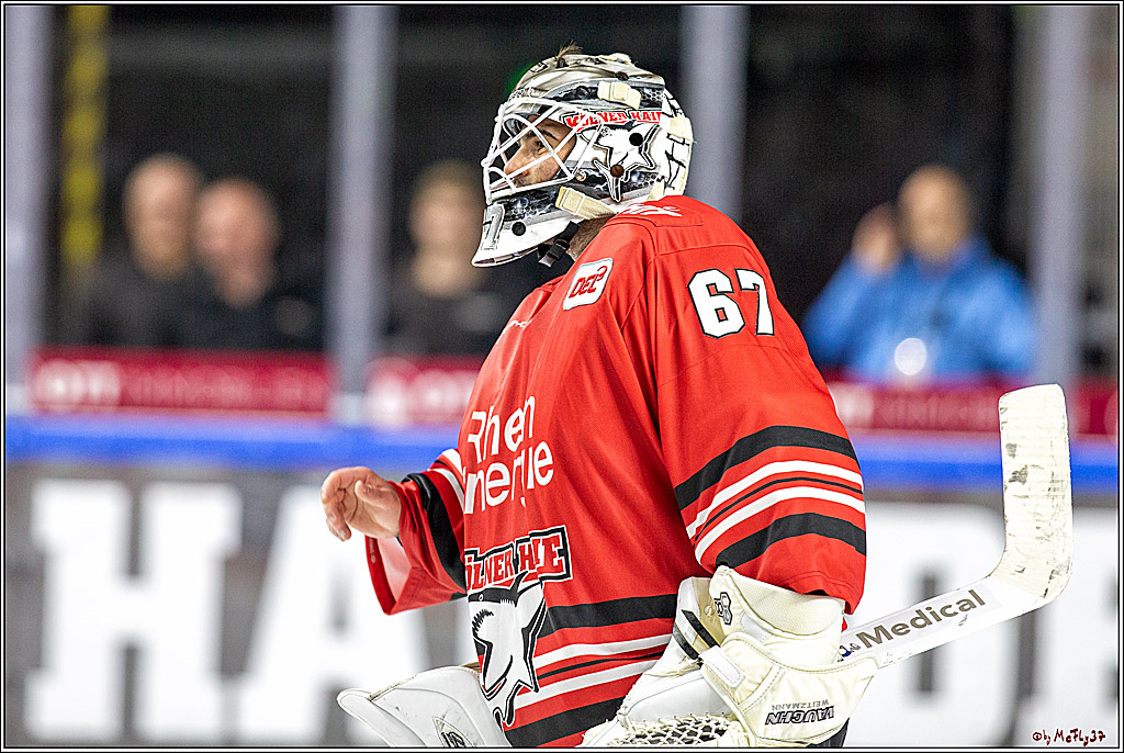 DEL; Koelner Haie - Schwenninger Wild Wings;; Koeln, 18.10.2019